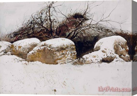 andrew wyeth Shredded Wheat, 1982 Stretched Canvas Print / Canvas Art