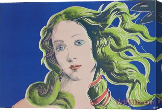 Andy Warhol Birth of Venus Stretched Canvas Print / Canvas Art