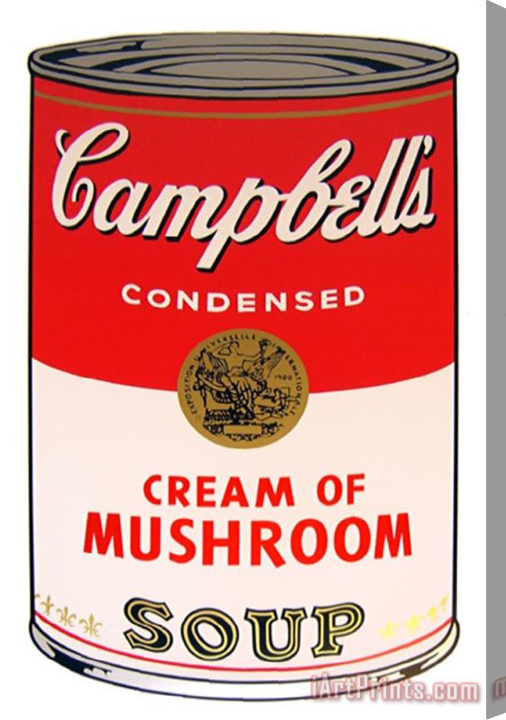 Andy Warhol Campbell's Soup Cream of Mushroom Stretched Canvas Print / Canvas Art