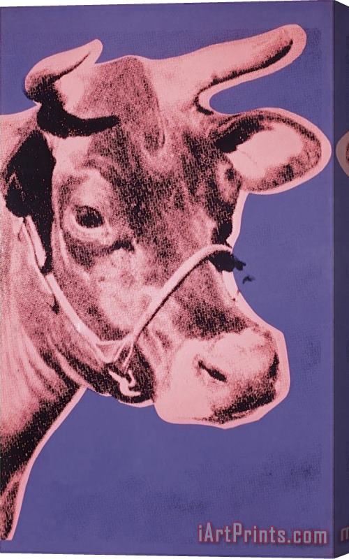 Andy Warhol Cow C 1976 Pink And Purple Stretched Canvas Print / Canvas Art