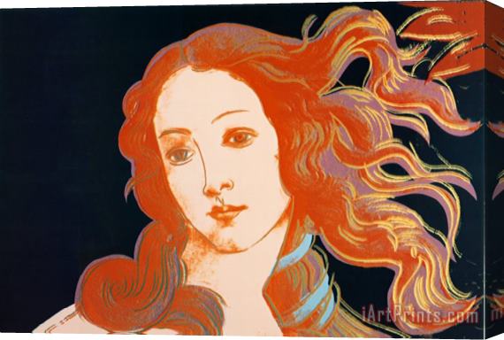 Andy Warhol Details of Boticelli's Birth of Venus C 1984 Stretched Canvas Print / Canvas Art