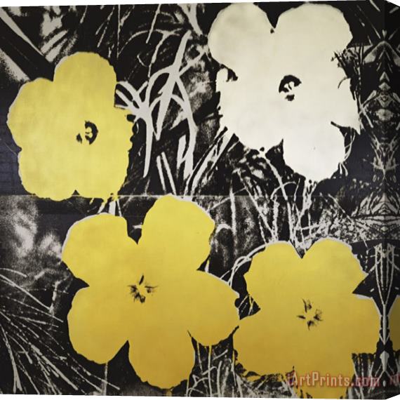 Andy Warhol Flowers Yellow And White C 1966 Stretched Canvas Painting / Canvas Art