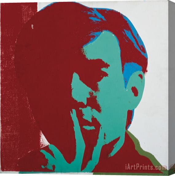 Andy Warhol Self Portrait C 1967 Stretched Canvas Print / Canvas Art