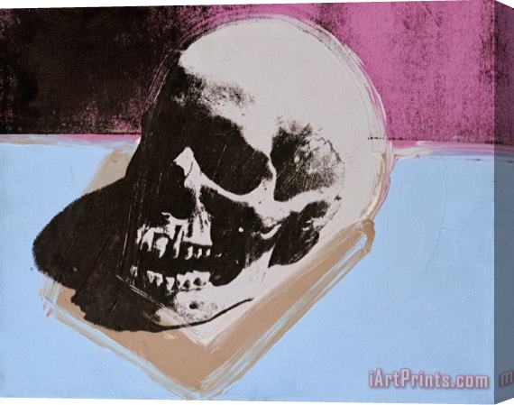 Andy Warhol Skull C 1976 White on Blue And Pink Stretched Canvas Print / Canvas Art