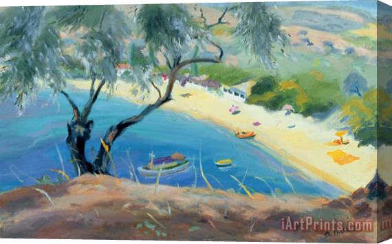 Anne Durham Achladies Bay - Skiathos - Greece Stretched Canvas Print / Canvas Art