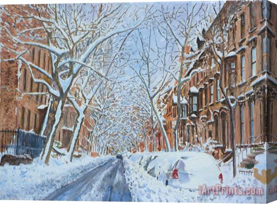 Anthony Butera Snow Remsen St. Brooklyn New York Stretched Canvas Print / Canvas Art
