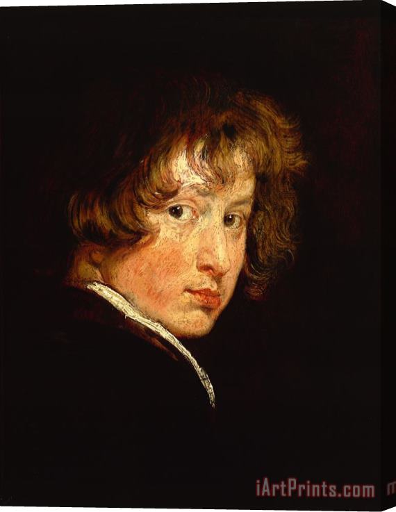 Anthony van Dyck Self Portrait At Sixteen Stretched Canvas Painting / Canvas Art