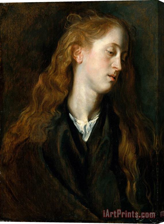 Anthony van Dyck Study Head of a Young Woman Stretched Canvas Print / Canvas Art