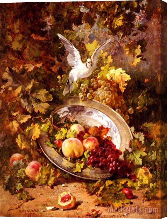 Antoine Bourland Peaches And Grapes With A Dove - Bourland - 1875 Stretched Canvas Print / Canvas Art