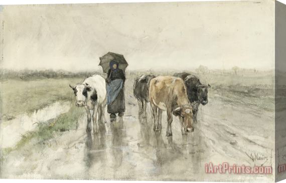 Anton Mauve A Herdess with Cows on a Country Road in The Rain Stretched Canvas Print / Canvas Art