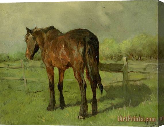 Anton Mauve Paard Stretched Canvas Print / Canvas Art