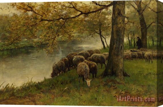 Anton Mauve Sheep Watering by a River Stretched Canvas Painting / Canvas Art