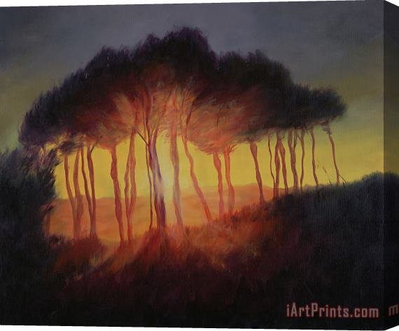 Antonia Myatt Wild Trees at Sunset Stretched Canvas Painting / Canvas Art