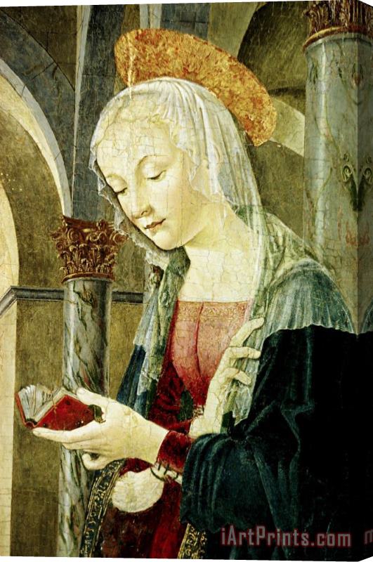 Antoniazzo Romano Detail of The Virgin Mary From The Annunciation Stretched Canvas Print / Canvas Art