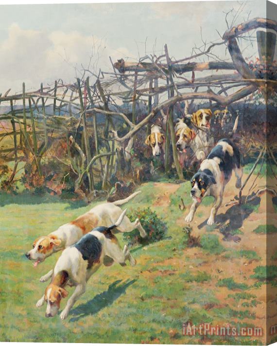 Arthur Charles Dodd Through the Fence Stretched Canvas Print / Canvas Art