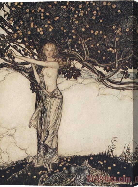 Arthur Rackham Freia The Fair One Illustration From The Rhinegold And The Valkyrie Stretched Canvas Print / Canvas Art