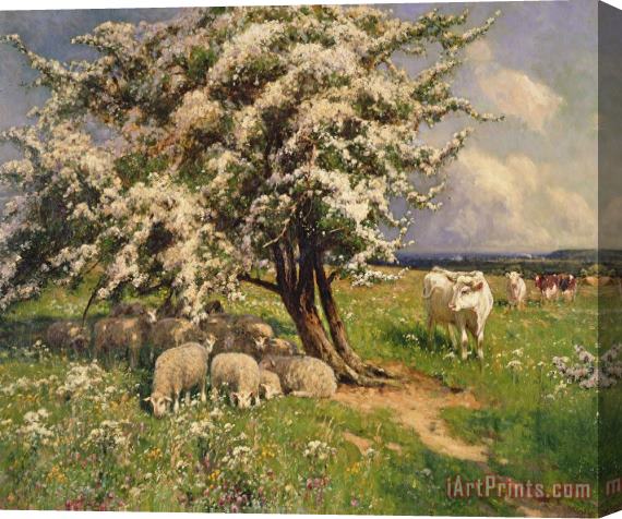 Arthur Walker Redgate Sheep And Cattle In A Landscape Stretched Canvas Print / Canvas Art