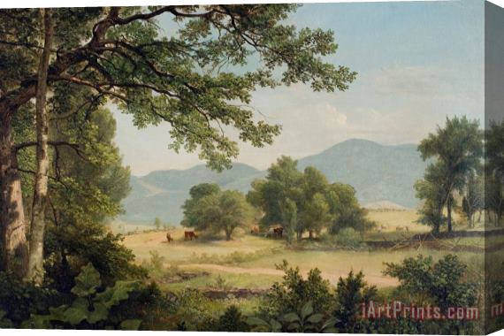 Asher Brown Durand Catskill Meadows In Summer Stretched Canvas Print / Canvas Art