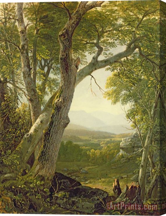 Asher Brown Durand Shandaken Ridge - Kingston Stretched Canvas Painting / Canvas Art
