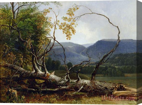 Asher Brown Durand Study from Nature - Stratton Notch Stretched Canvas Painting / Canvas Art
