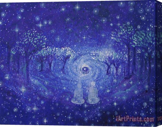 Ashleigh Dyan Moore A Star Night Stretched Canvas Painting / Canvas Art