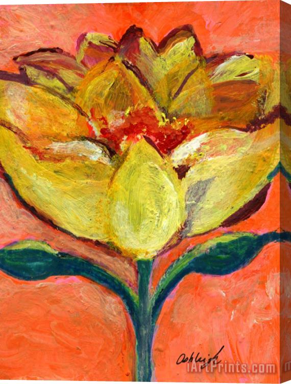 Ashleigh Dyan Moore One Yellow Flower and Pinky Peach Behind Stretched Canvas Painting / Canvas Art