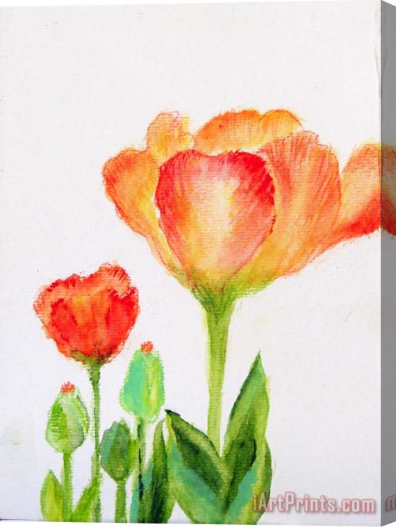 Ashleigh Dyan Moore Tulips Orange and Red Stretched Canvas Print / Canvas Art