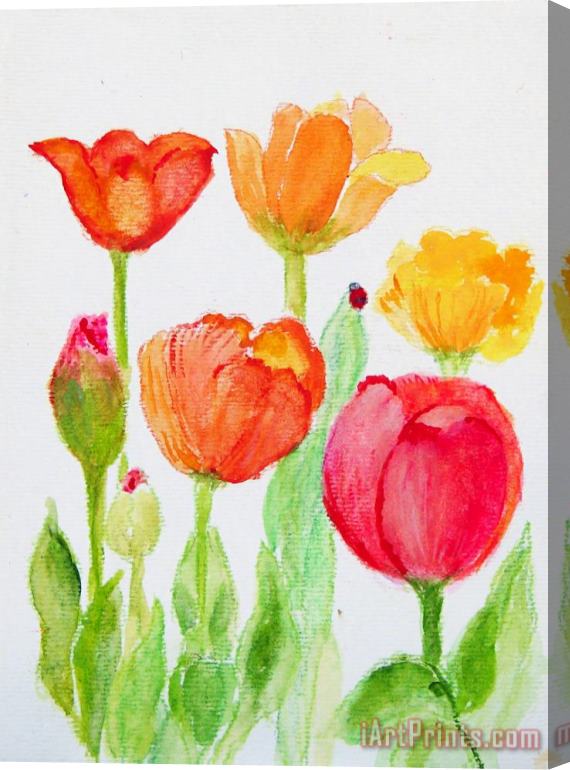 Ashleigh Dyan Moore Tulips with Lady Bug Stretched Canvas Painting / Canvas Art