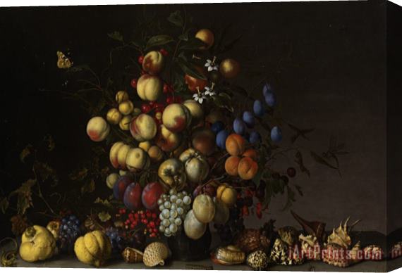 Balthasar Van Der Ast Various Fruit in a Vase with Insects And a Lizard Stretched Canvas Painting / Canvas Art