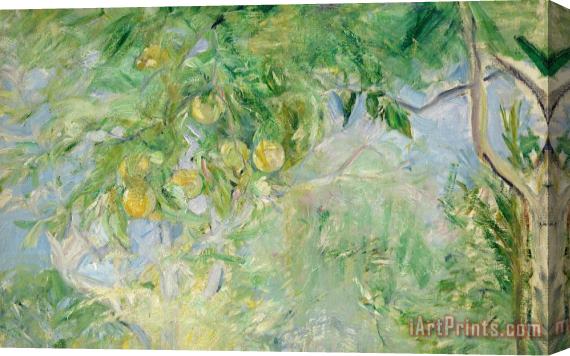 Berthe Morisot Orange Tree Branches Stretched Canvas Painting / Canvas Art