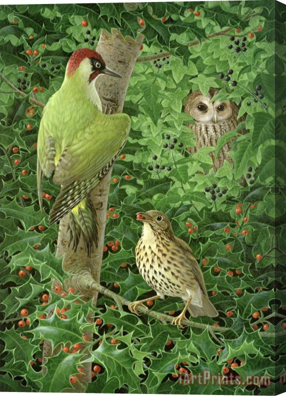 Birgitte Hendil Woodpecker Owl And Thrush Stretched Canvas Painting / Canvas Art