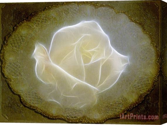 Blair Wainman Ethereal Rose Stretched Canvas Painting / Canvas Art
