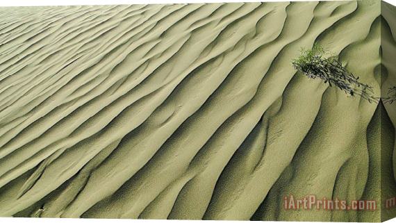 Blair Wainman Sands of Time Stretched Canvas Print / Canvas Art