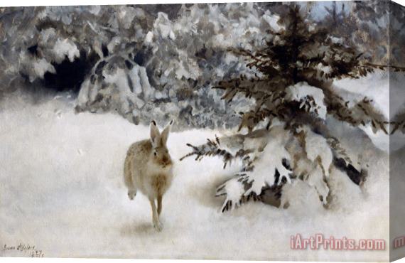 Bruno Andreas Liljefors A Hare In The Snow Stretched Canvas Painting / Canvas Art