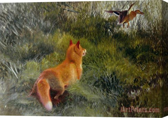 Bruno Andreas Liljefors Eluding the Fox Stretched Canvas Print / Canvas Art