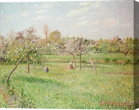 Camille Pissarro Apple Trees at Gragny Stretched Canvas Print / Canvas Art
