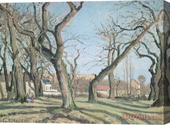 Camille Pissarro Chestnut Trees at Louveciennes Stretched Canvas Print / Canvas Art