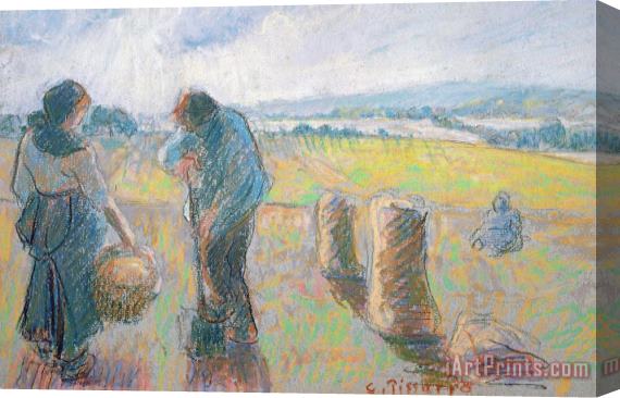 Camille Pissarro Peasants In The Fields Stretched Canvas Print / Canvas Art