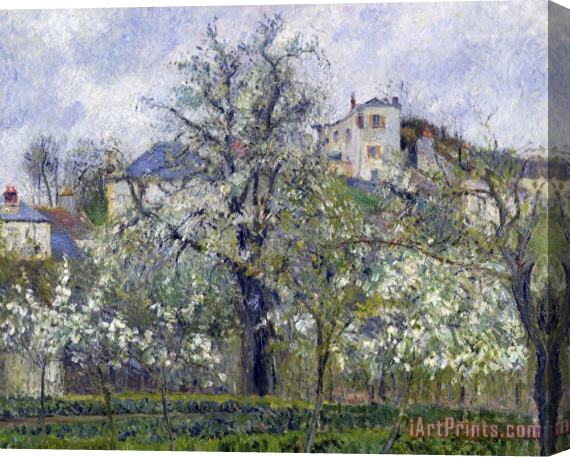 Camille Pissarro The Vegetable Garden with Trees in Blossom, Spring, Pontoise Stretched Canvas Painting / Canvas Art