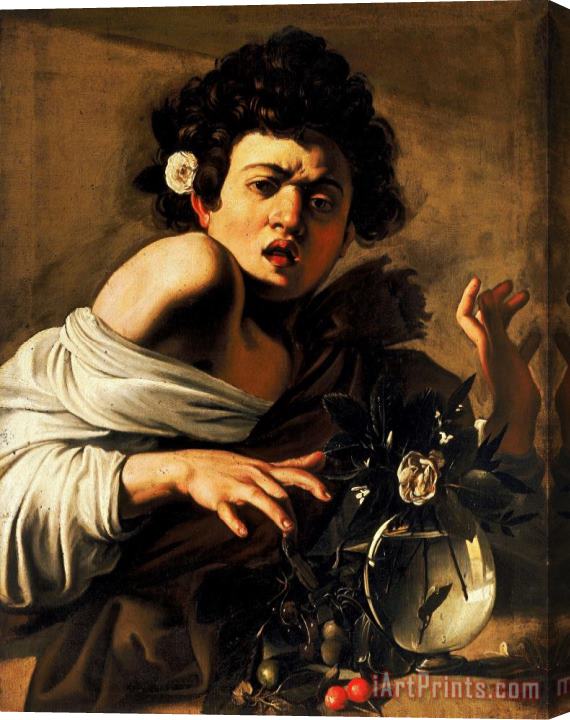 Caravaggio Boy Bitten By A Lizard Stretched Canvas Painting / Canvas Art
