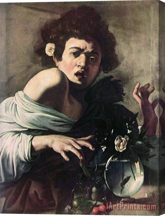 Caravaggio Boy Bitten by a Lizard Stretched Canvas Painting / Canvas Art