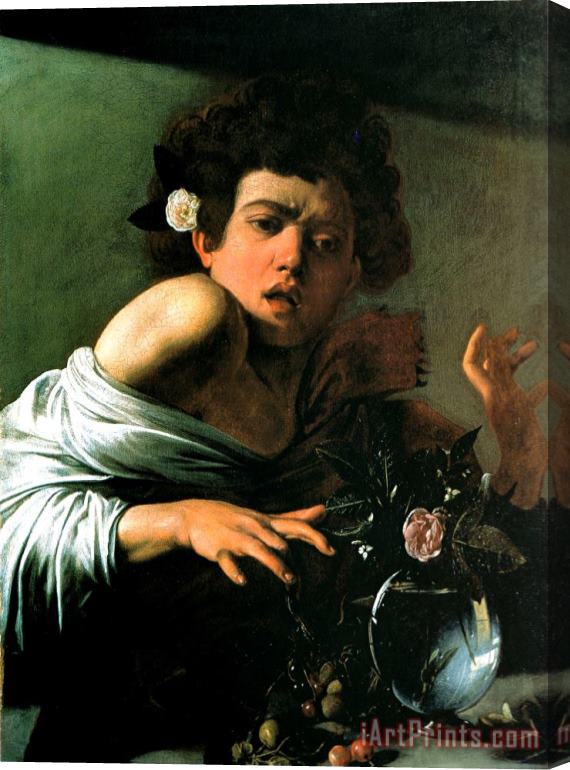 Caravaggio Boy Lizard 1594 Stretched Canvas Painting / Canvas Art