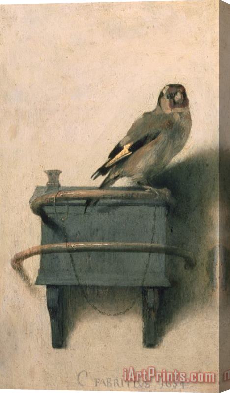 Carel Fabritius The Goldfinch Stretched Canvas Print / Canvas Art