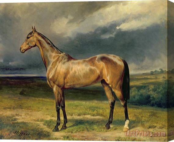 Carl Constantin Steffeck Abdul Medschid the chestnut arab horse Stretched Canvas Painting / Canvas Art