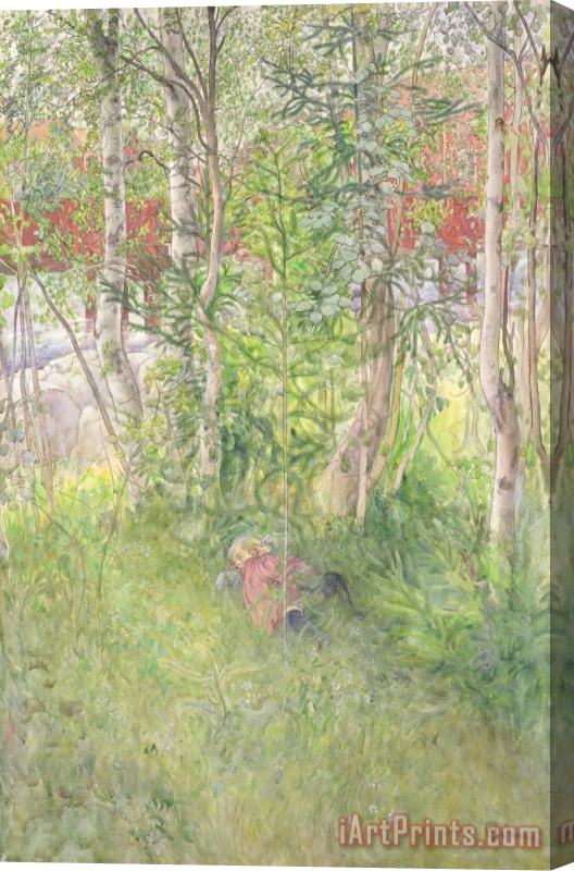 Carl Larsson A Nap Outdoors Stretched Canvas Painting / Canvas Art