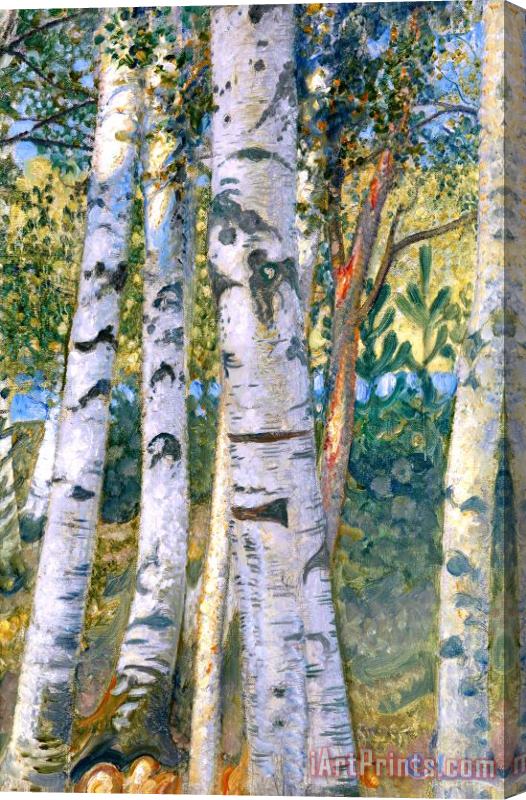 Carl Larsson Birch Trees Stretched Canvas Painting / Canvas Art