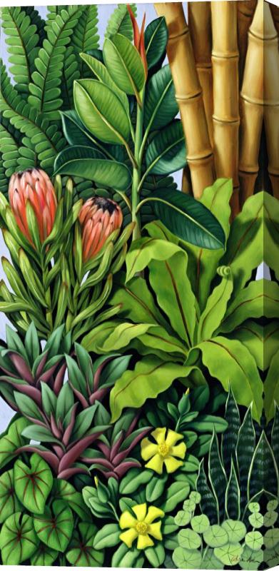 Catherine Abel Foliage III Stretched Canvas Print / Canvas Art