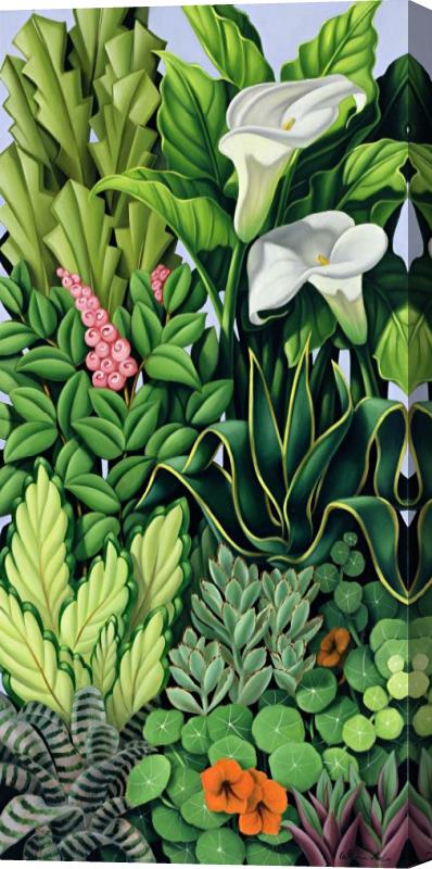 Catherine Abel Foliage Stretched Canvas Painting / Canvas Art
