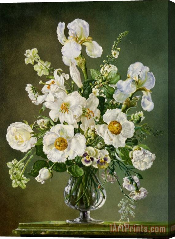 Cecil Kennedy French Bouquet Stretched Canvas Print / Canvas Art
