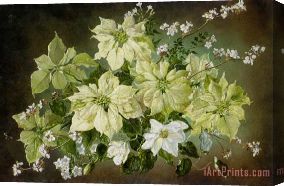 Cecil Kennedy Still Life with Poinsettias And Fruit Blossom Stretched Canvas Painting / Canvas Art